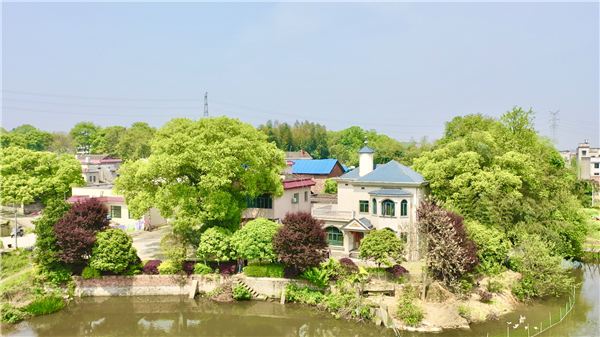 图片8.jpg