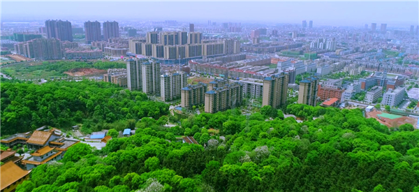 QQ图片20201014090008_副本.jpg